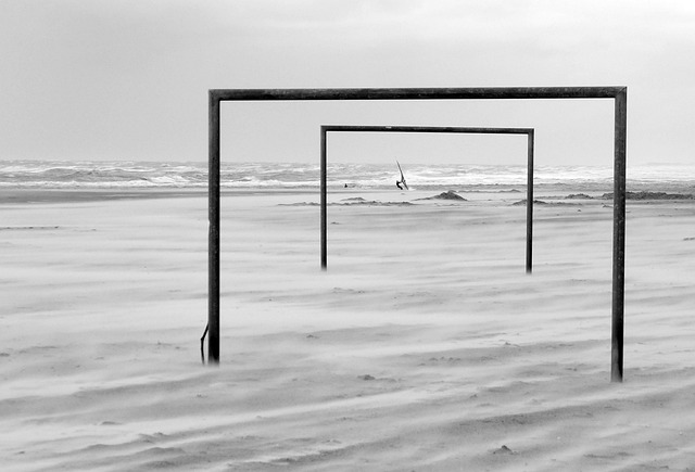 的内部变动 的内部变动