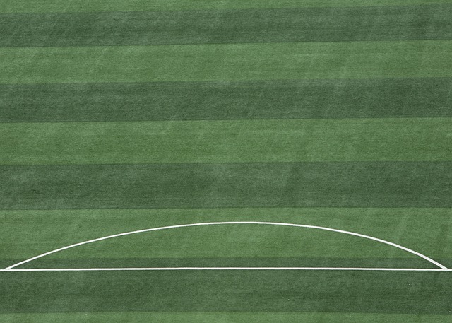 过多个重要 过多个重要