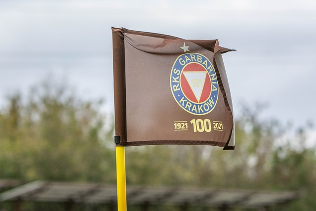 己的不足 己的不足