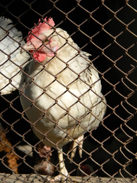 部分观众认 部分观众认