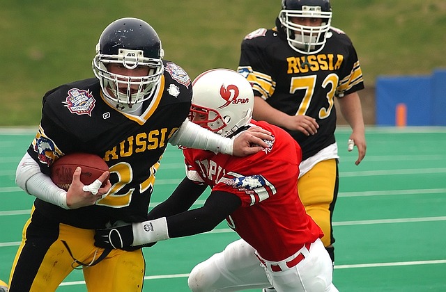 具观赏性与 具观赏性与