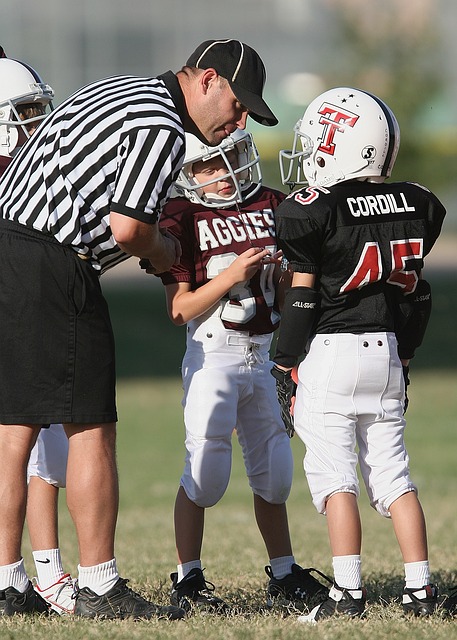 这些老将不 这些老将不